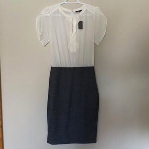 RW&CO One-Piece Office Dress - Size 0 - BRAND NEW with tags!